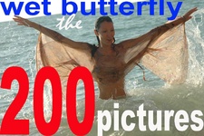 Photo Issue 569